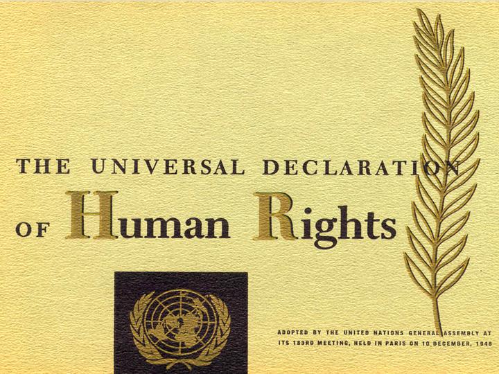 Human rights 3
