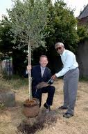 David Alton and Akbar Ali planting an olive tree at the breaking of the new ground for the Habitat for Humanity project in Toxteth in July 2005.