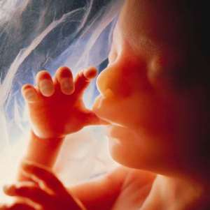 Beware the Laws of Unintended Consequences – and champion the supreme human right: the right to life.