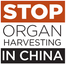 Lord Hunt’s All Party Amendment on Forced Organ Harvesting in China – Targeting Falun Gong, Uighurs, Political and Religious Dissidents – Debated In Parliament. Peers Demand That The Government Acts.