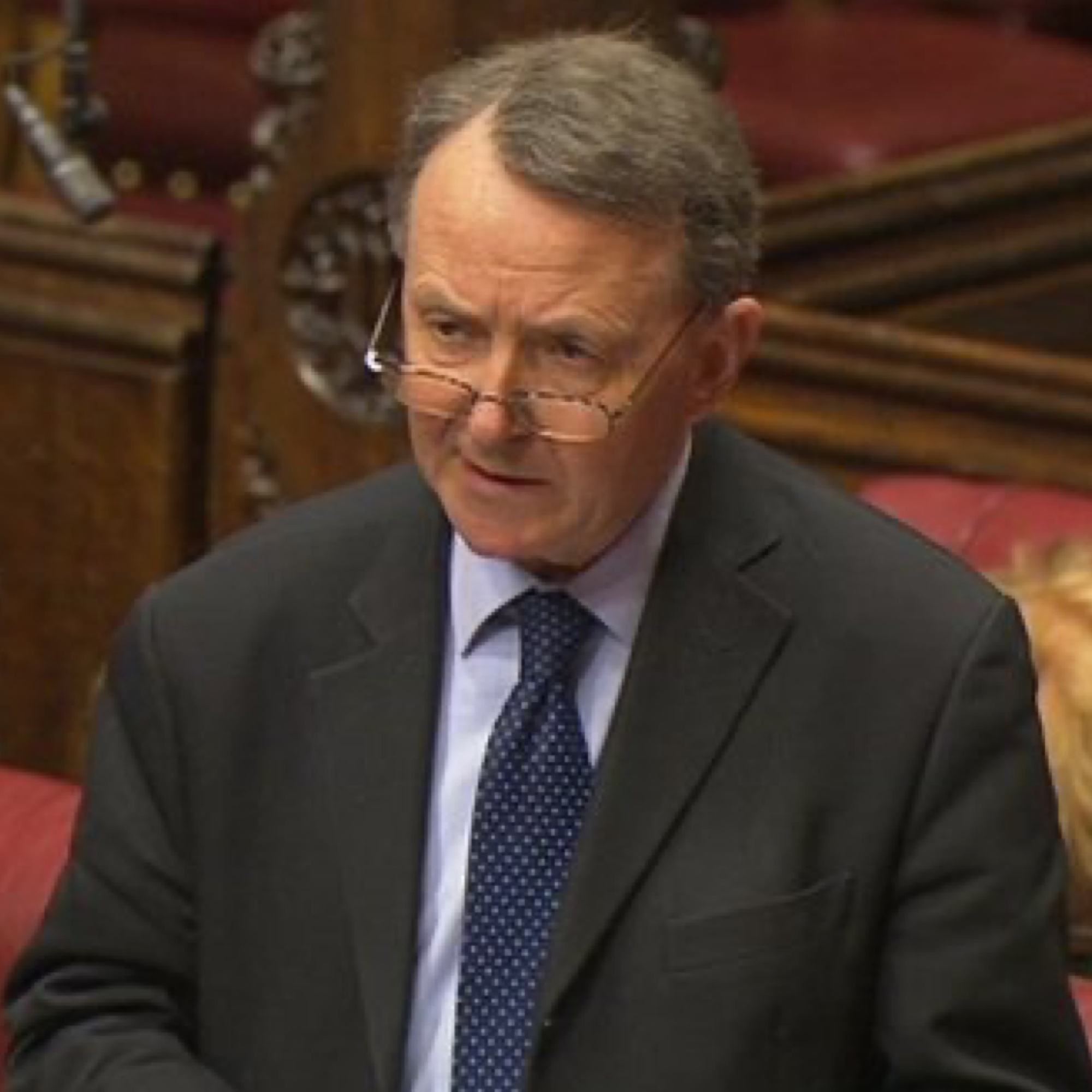 Alton speaking in the House of Lords
