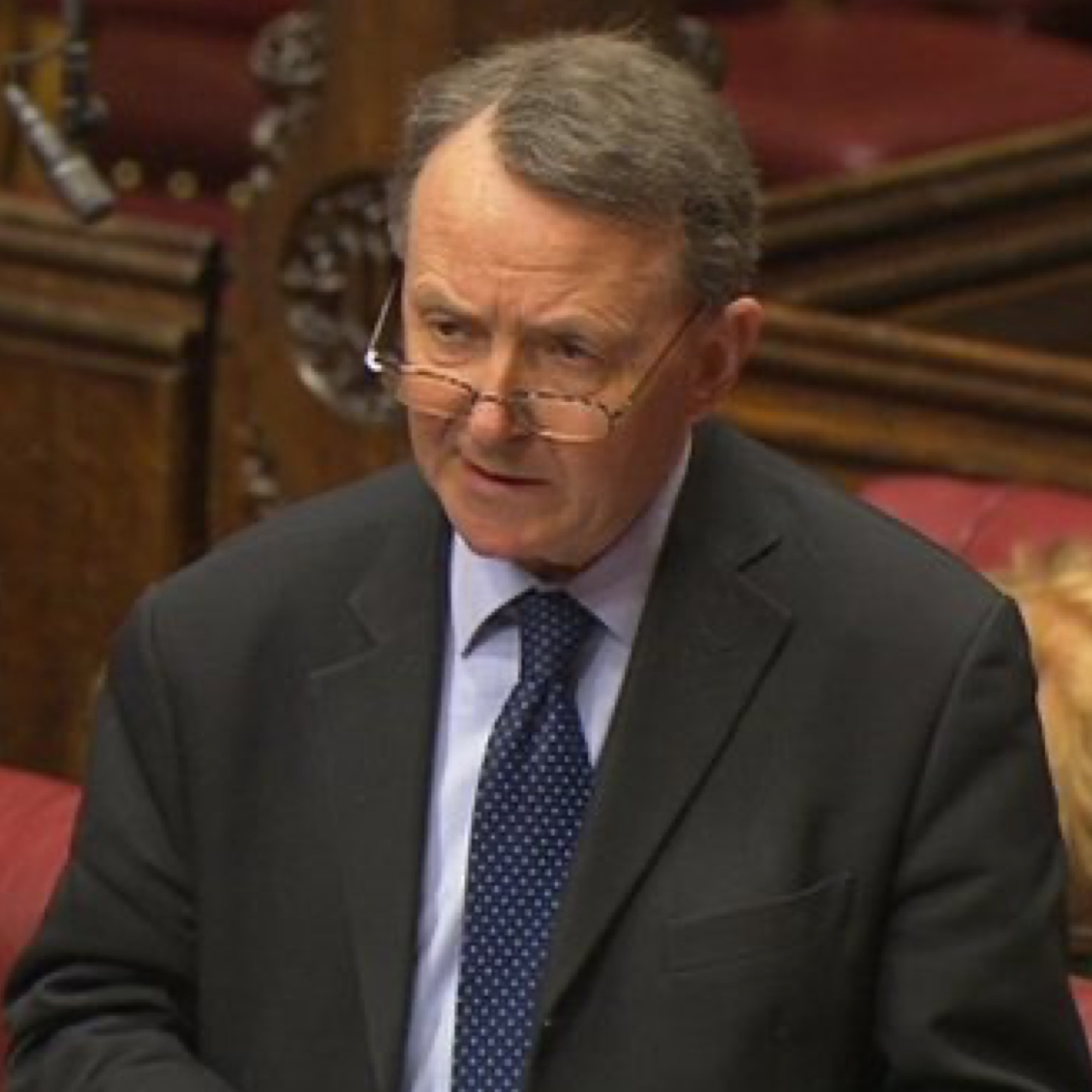 About-House-of-lords Alton speaking in the House of Lords