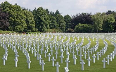 The Coalition for Genocide Response extend an invitation to a webinar marking: “The International Day Commemorating the Victims of Acts of Violence Based on Religion or Belief (22 August)”. The  Zoom webinar will be held on August 21st  2020 at 4 PM (BST). Details in this Post.