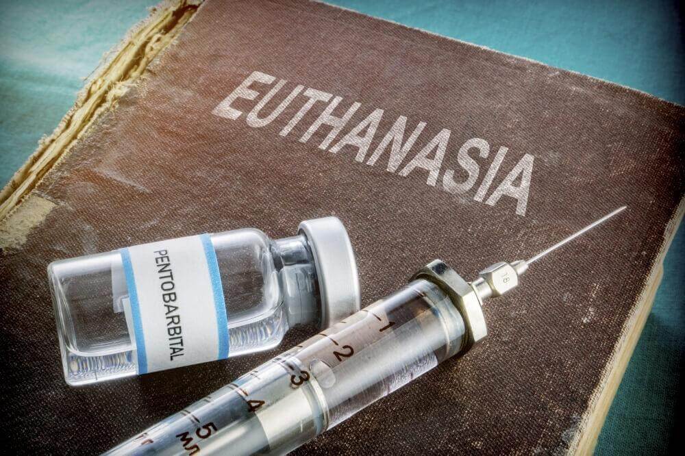 Dominic Lawson gets it in one: allow euthanasia and “Those who would be put at greatest risk are the most vulnerable; and their voices are never heard.”