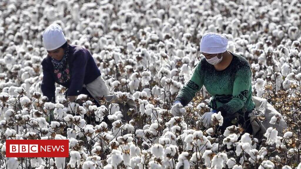 Government fails to follow US in introducing restrictions on imports of cotton goods made by slave labour in Uighur internment camps in Xinjiang.