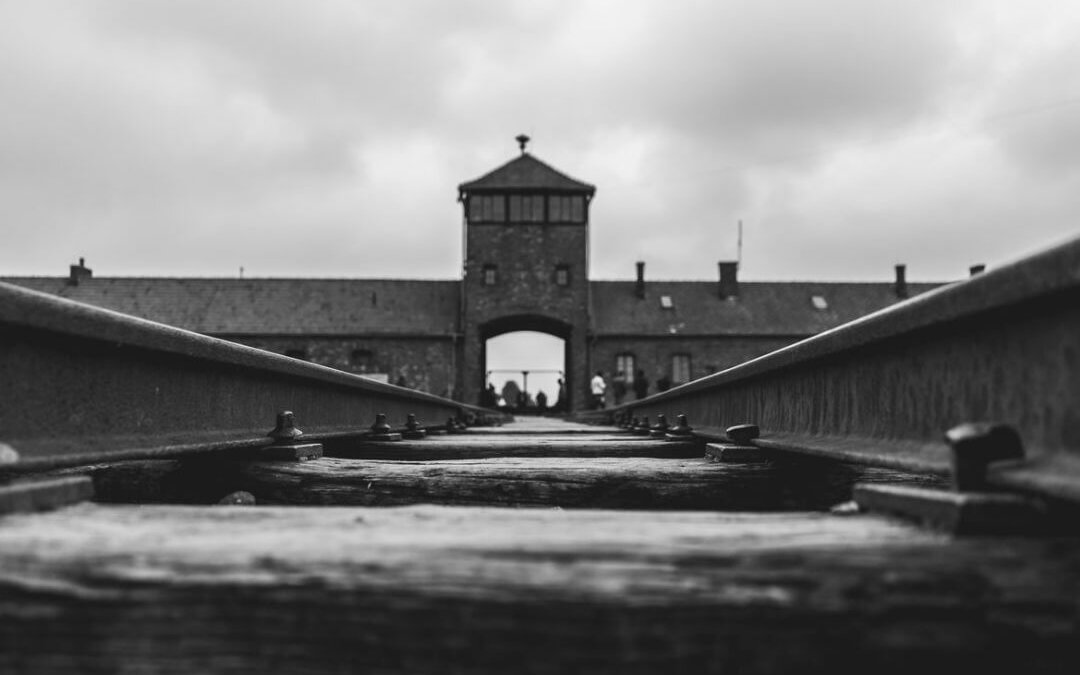 Book to read: “The Order Of The Day” by Eric Vuillard. The Reich’s concentration camps: the corporations which benefited and the politicians who didn’t give a tinker’s damn. Chilling parallels with Uyghur slave labour.