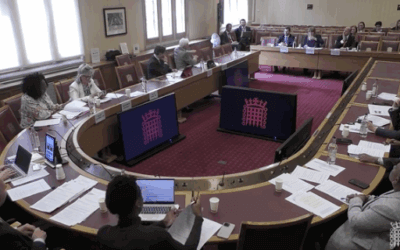 Forced Labour in UK Supply Chains – Human Rights Joint Committee 7th May 2025
